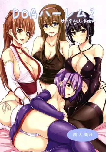 (C81) [ShimaPan (Ominaeshi)] DOA Harem 2 (Dead or Alive) [English] {QBtranslations}