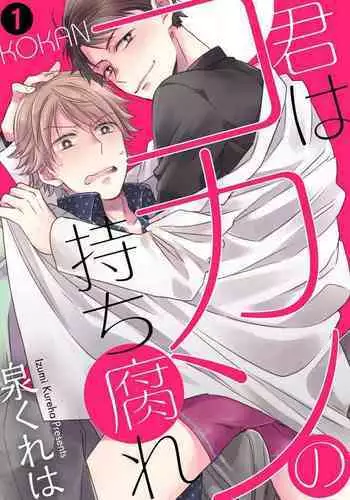 Kimi wa Kokan no Mochigusare Ch.1