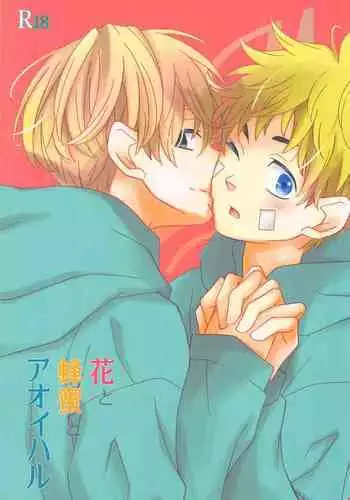 Hana to Hachimitsu to Aoiharu