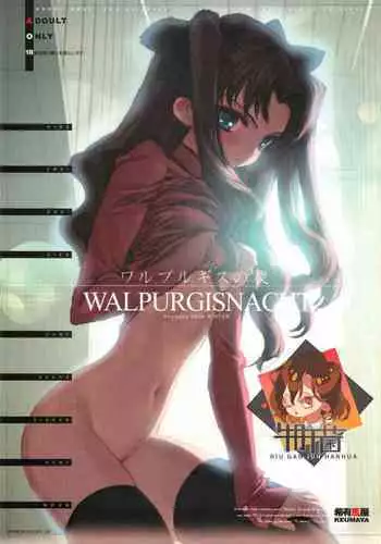 (C67) [Keumaya (Inoue Junichi)] Walpurgisnacht / Walpurgis no Yoru (Fate/stay night) [Chinese] [牛肝菌汉化]