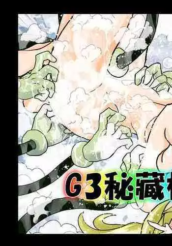 G3 Hizou File 06