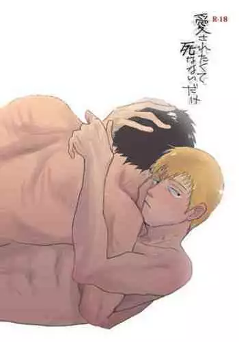 Aisa Retakute Shinanai Dake / Serirei Web Sairoku