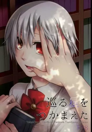 Meguru hoshi o tsukamaeta sample