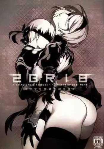 NieR 2BR18