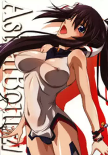 (C85) [STUDIO TRIUMPH (Mutou Keiji)] Astral Bout Ver. 27 (IS <Infinite Stratos>)