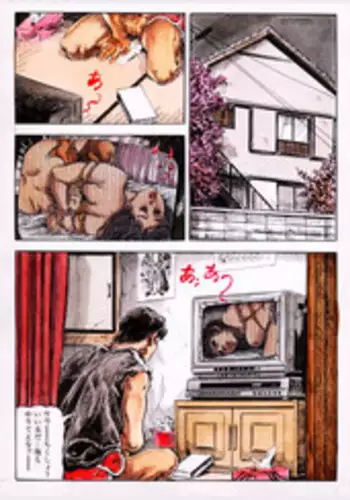 [Kasama Shiro] Ryoujoku no nawaasobi