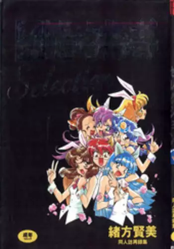 [Ogata Satomi] Kyouakuteki Shidou Selection (Various)