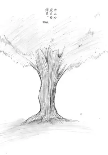 [TOWA.] "Shin" Kaeru Kaeru Kaeru. (Hidamari Sketch)