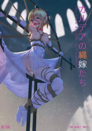 Chaldea no Nawa Yome-Tachi