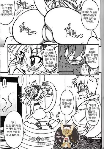 Nekotama | 네코타마