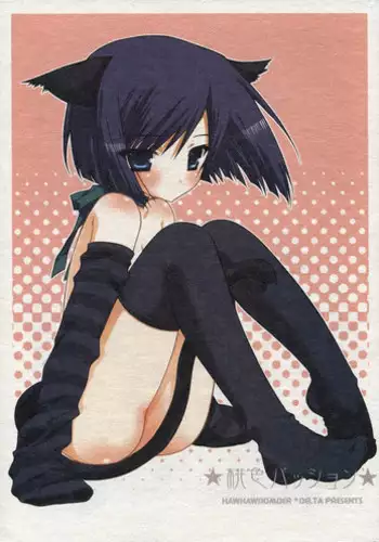 [DELTA (nini, Kanno Touko)] MOMOIRO PASSION