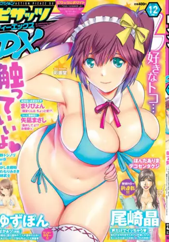 Action Pizazz DX 2015-12