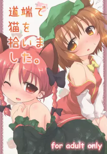 (Reitaisai 9) [Gainamon (Natsu no Koucha)] Michibata de Neko wo Hiroimashita. (Touhou Project)