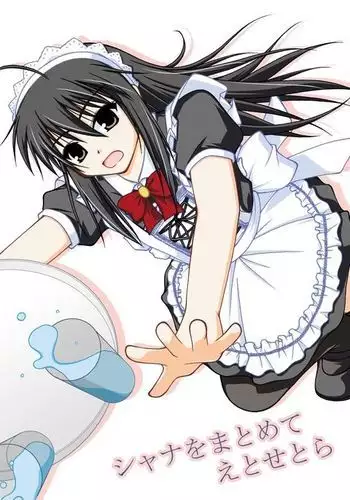 Shana wo matometetosetora