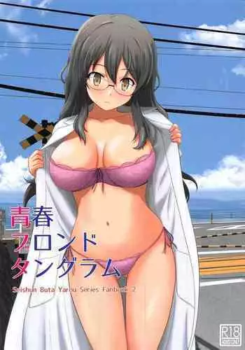 (C96) [G-SCAN CORP. (Satou Chagashi)] Seishun Blonde Tangram (Seishun Buta Yarou wa Bunny Girl Senpai no Yume o Minai) [Chinese] [瓜皮有偿汉化]