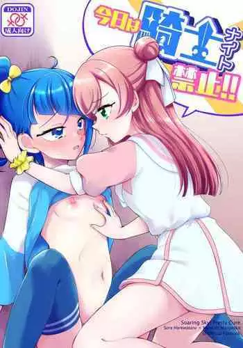 Kyou wa Knight Kinshi!!