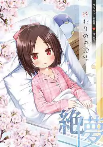 [Noraneko-no-Tama (Yukino Minato)] Owari no Nikkichou Full Color [夜空个人汉化]