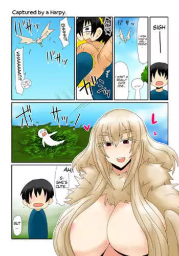 Harpy-san ni Tsukamatte. | Captured By A Harpy.