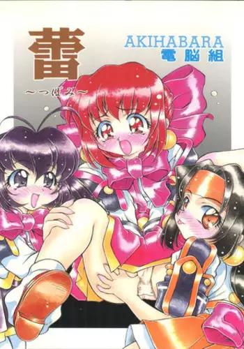 (C54) [Hime Club (Kirikaze)] Tsubomi (Cyber Team in Akihabara)