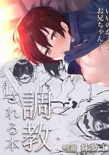 Otokoppoi Loli ga Choukyou sareru Hon